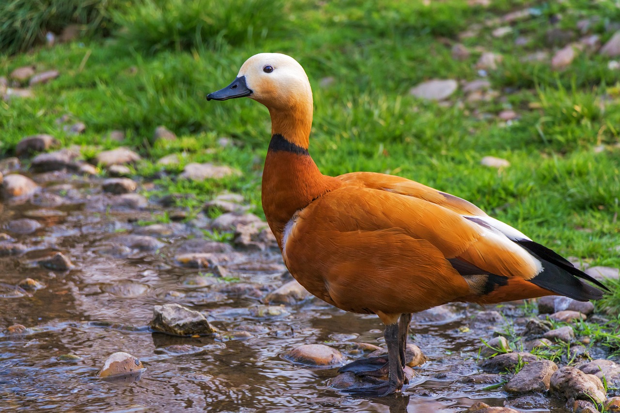 Wie bleibe ich als Eltern gelassen in stressigen Situationen?